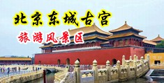 操女人们的浪逼视频中国北京-东城古宫旅游风景区