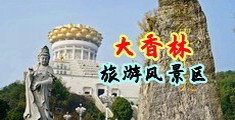 动漫美女黄页网站中国浙江-绍兴大香林旅游风景区